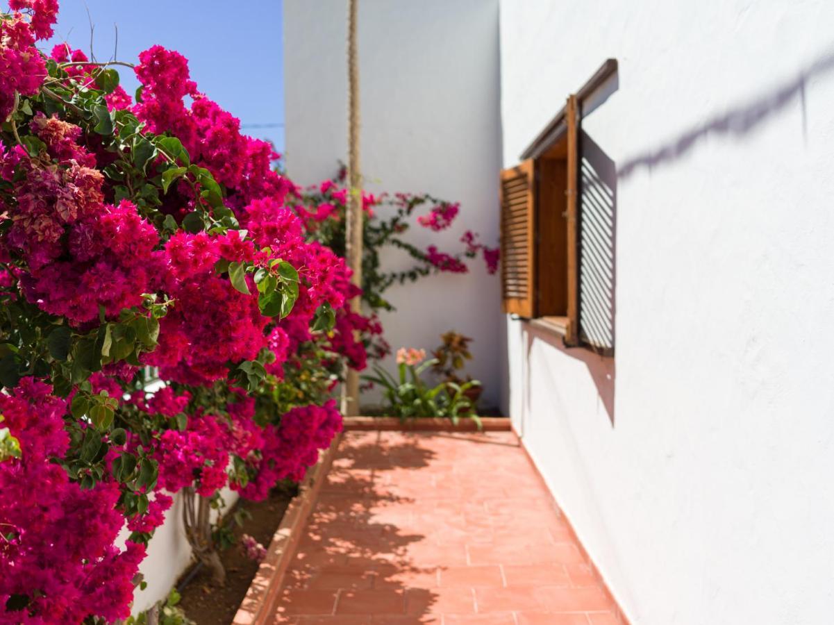 Chalé Agaete Pupe By Canariasgetaway Agaete (Gran Canaria)