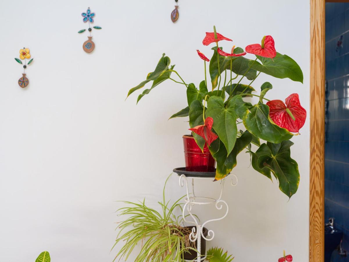 Domek alpejski Agaete Pupe By Canariasgetaway Agaete (Gran Canaria)